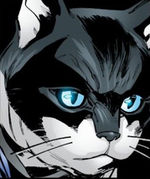 KittyhawkHeadshot.jpg