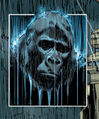 Thumbnail for version as of 16:03, 25 September 2015