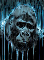 SticksInTheRain.jpg